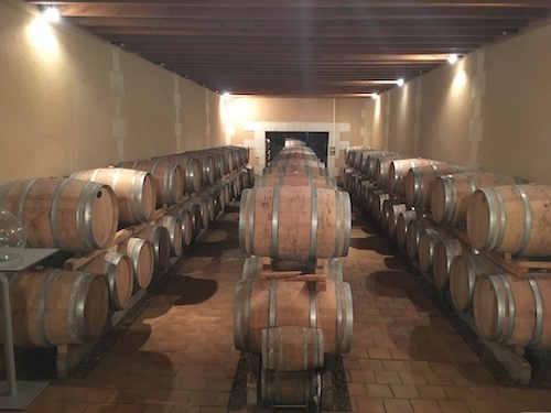 Producteur de vin rouge en Côtes de Bourg